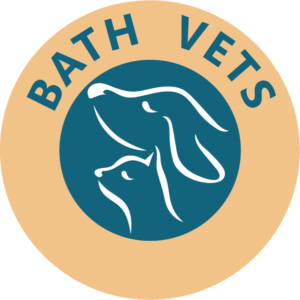 Bath Vets Group
